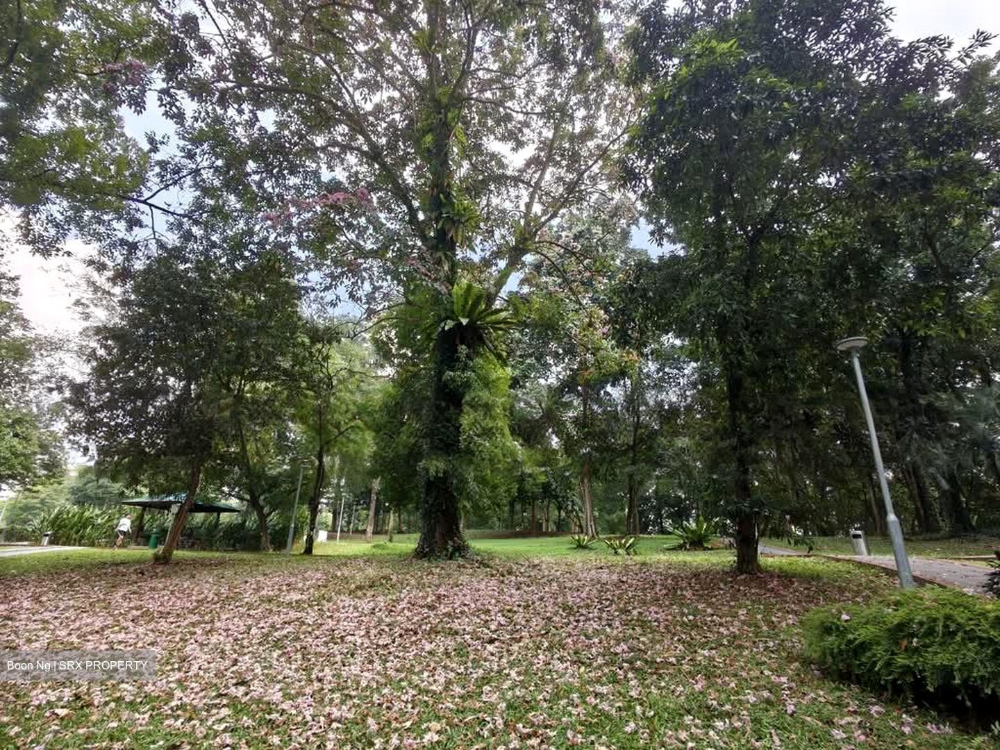 Blk 534 Panshan Grove (Bukit Panjang), HDB 5 Rooms #531043301